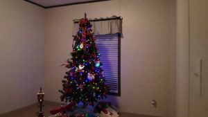 148 Todd Carter Road, Countryside Village