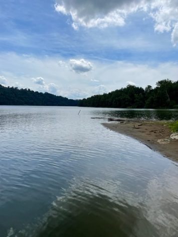 Dallas MHC - Image 10