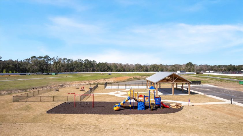 OZ Mighty Oak - Image 3