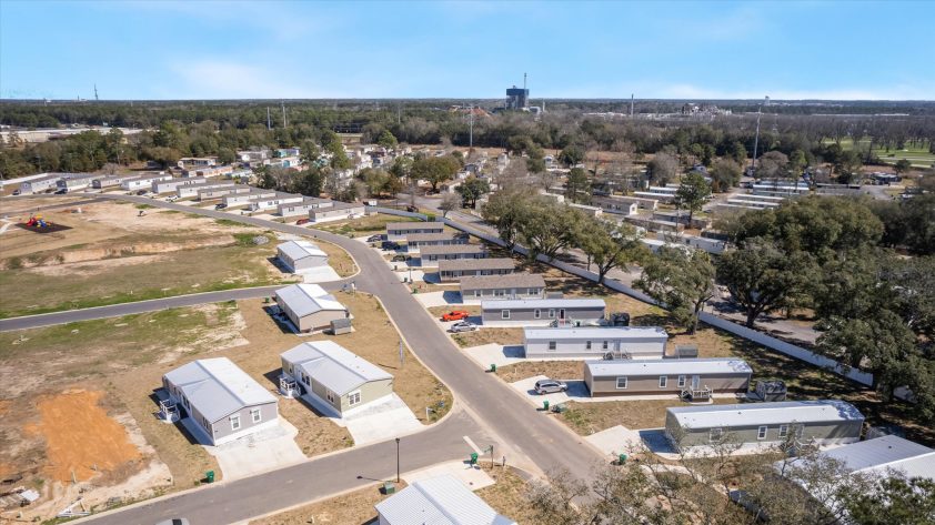 OZ Mighty Oak - Image 4