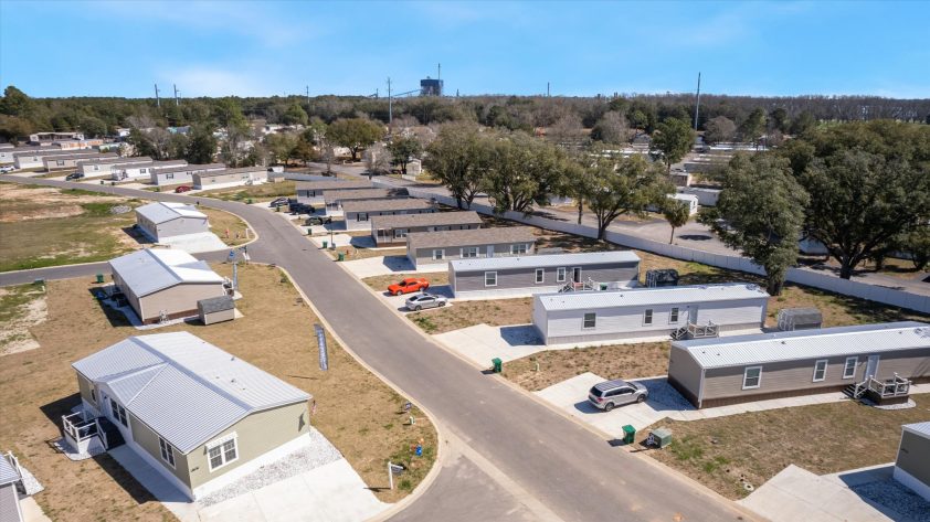 OZ Mighty Oak - Image 5