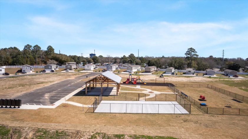 OZ Mighty Oak - Image 7