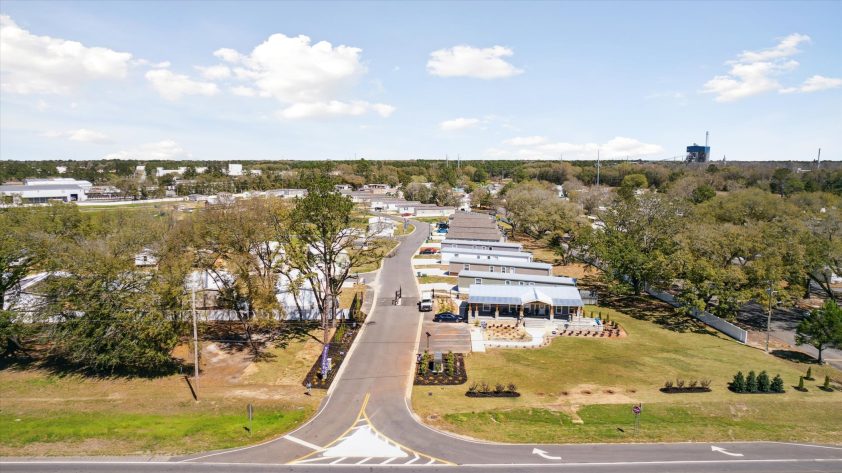 OZ Mighty Oak - Image 9