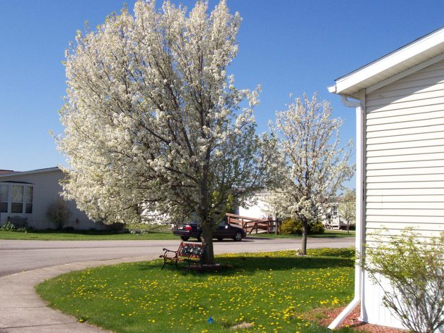 River Valley Estates - Image 5