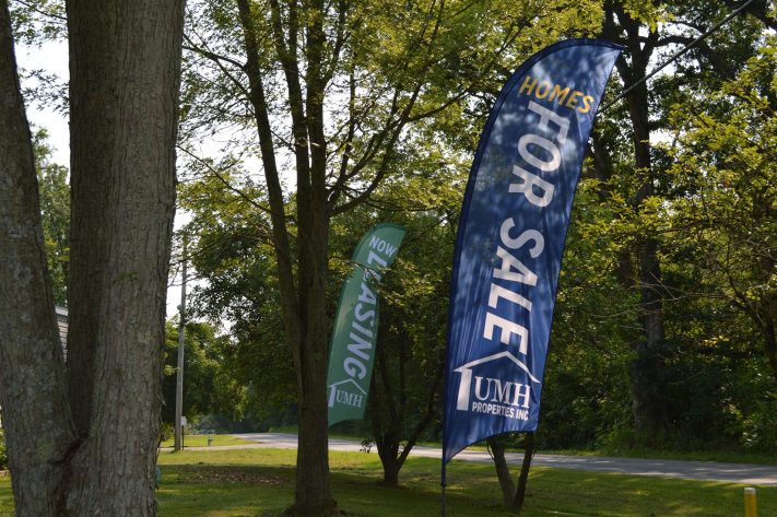 Wood Valley - Image 8