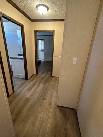 Iris Winds - Image 14