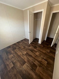 Iris Winds - Image 5